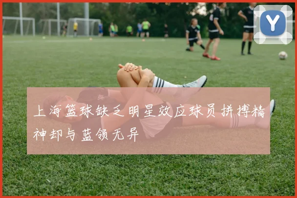 上海篮球缺乏明星效应球员拼搏精神却与蓝领无异