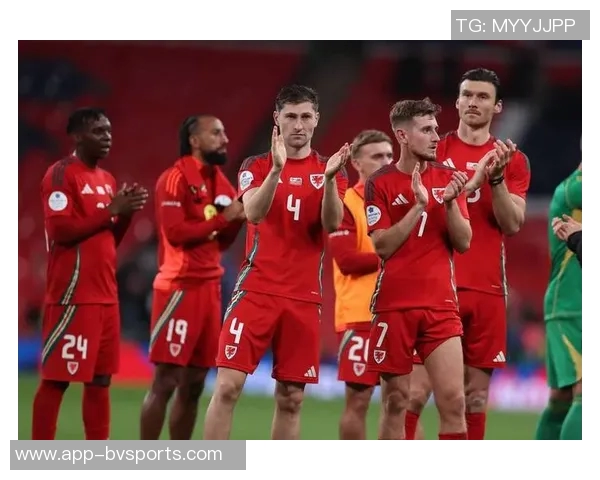 葡萄牙国家队球员若泽萨因因祖父去世缺席对爱尔兰比赛